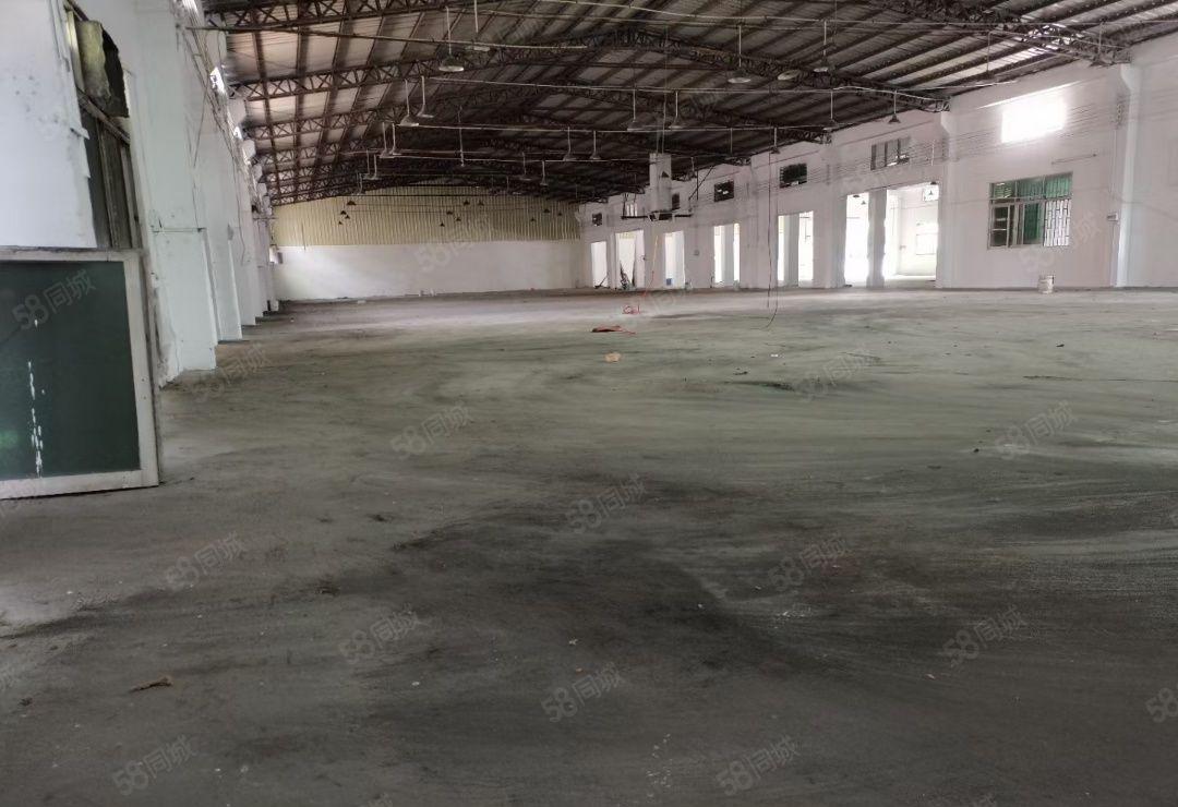 东坑新出原房东独院钢构厂房出租4500平米水电齐全欢迎来电。