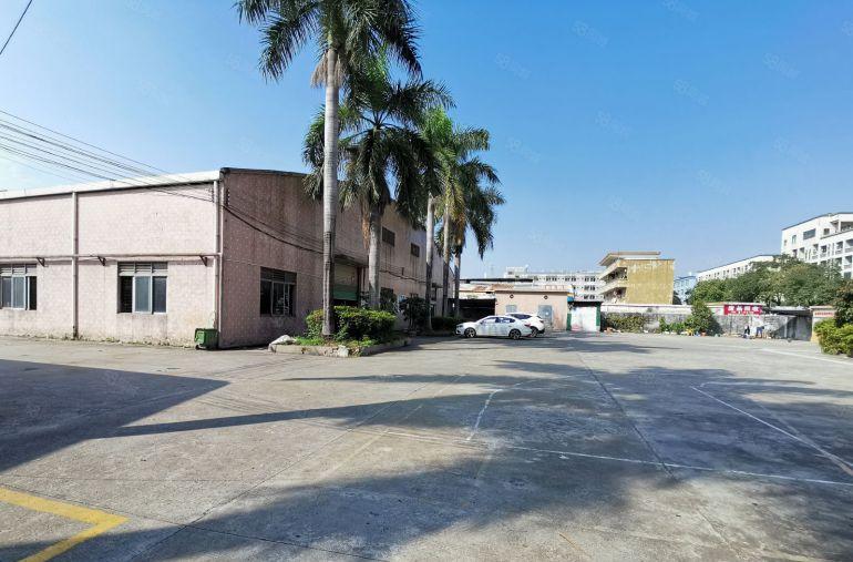 东坑新出砖墙到顶单一层低价出租，有现成地磅，办公室，空地超大