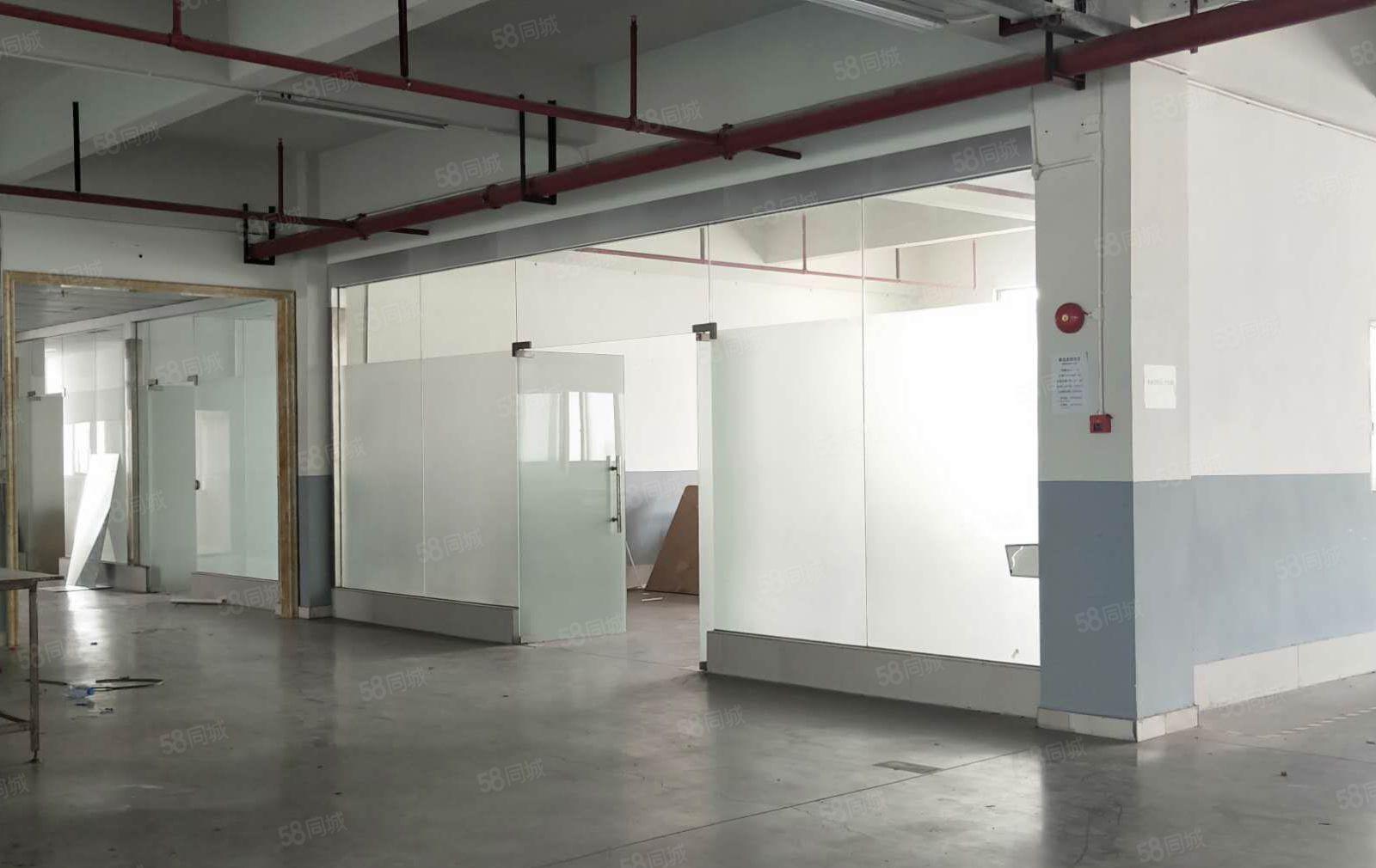 独门独院厂房1~2楼5250平方，空地大形象好可分租