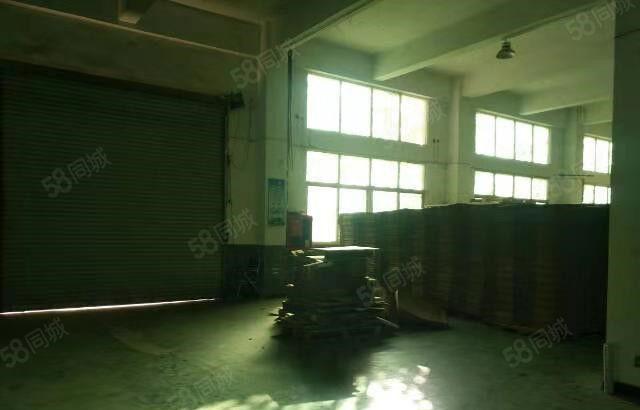 东坑 角社 自用厂房出租 一楼1000平方,无公摊面积