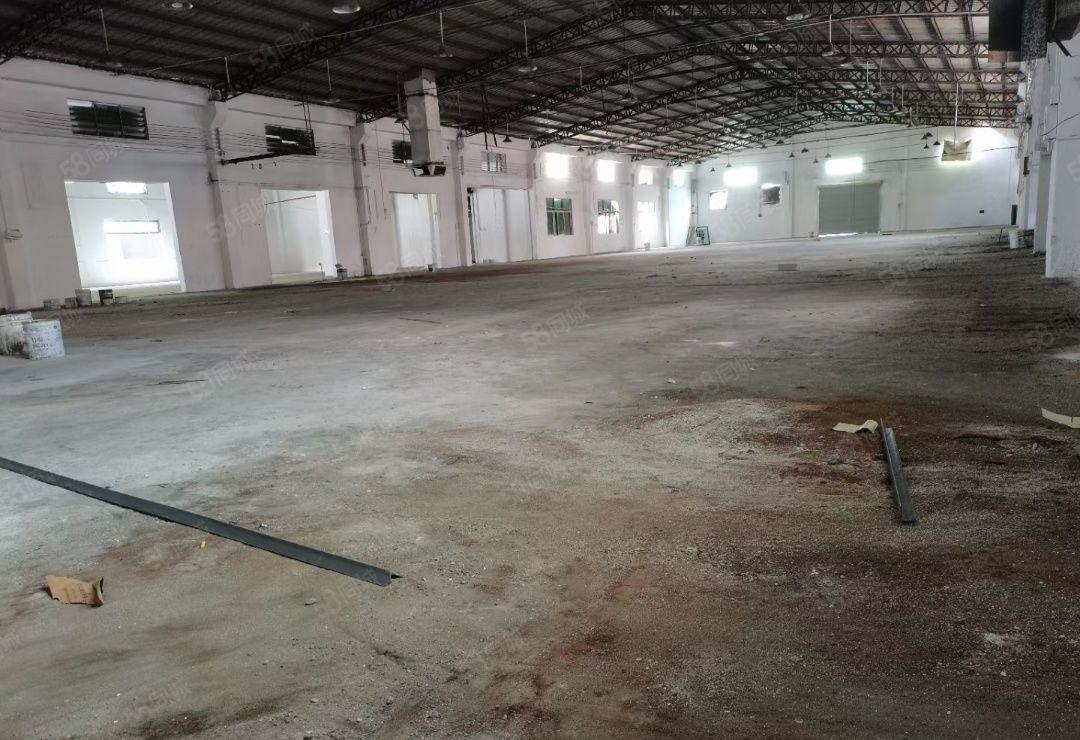 东坑新出原房东独院钢构厂房出租4500平米水电齐全欢迎来电。