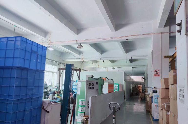 东坑原房东金典小独院标准厂房出租