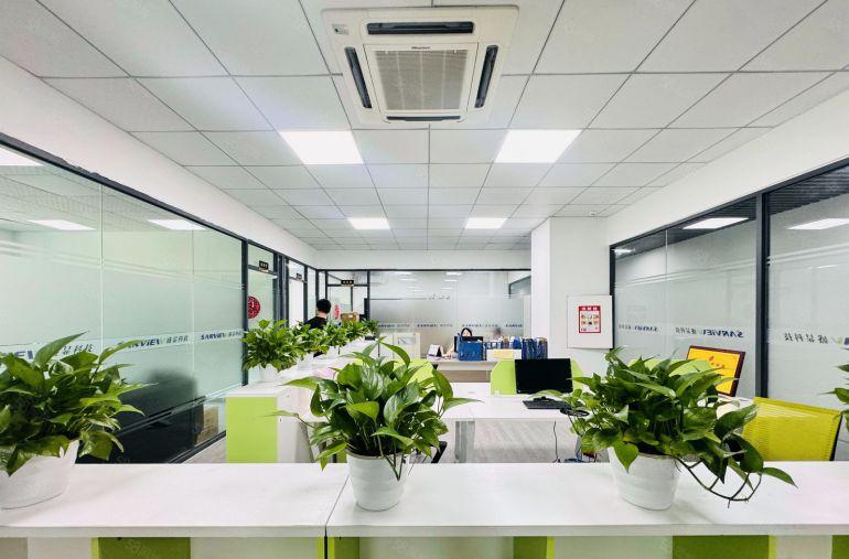 200平起分松山湖开发商直租10万平产业园9.9一平出租分租