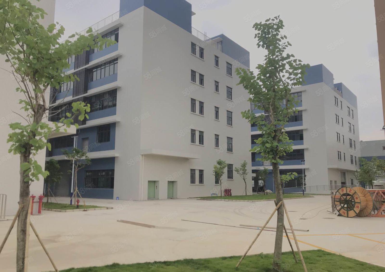 东莞东坑全新红本标准厂房53700平方，可按需灵活分租