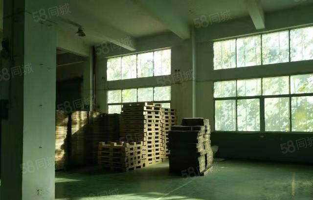 东坑 角社 自用厂房出租 一楼1000平方,无公摊面积