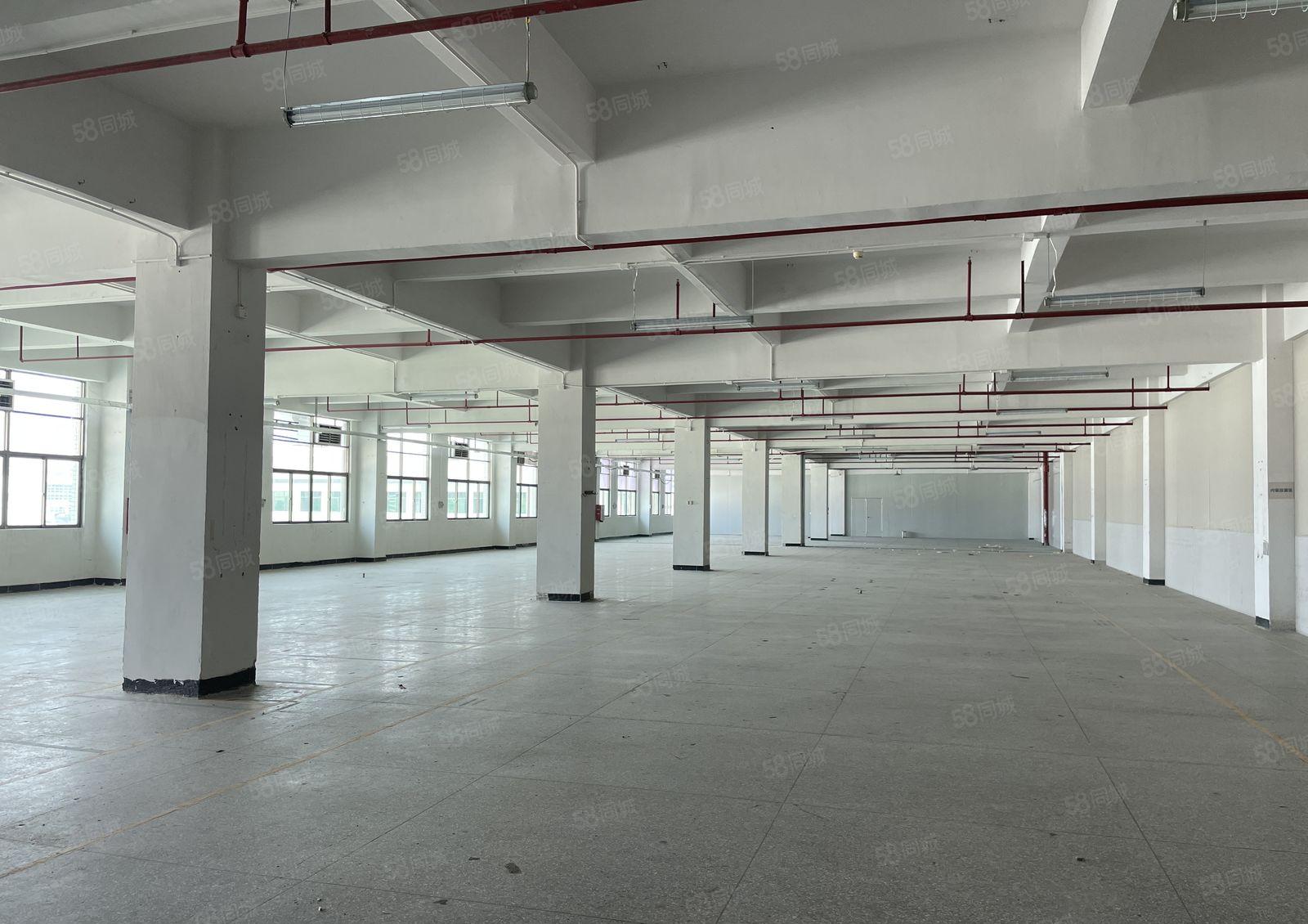 东坑镇工业园标准厂房出租四楼2000平可办环评带精装办公室