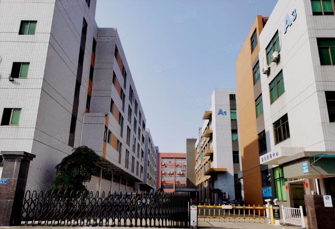 东坑镇标准厂房出租 带地平油漆 有卸货平台工业用地 可办环评