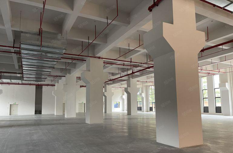 一楼标准500平厂房出租  大小可分租