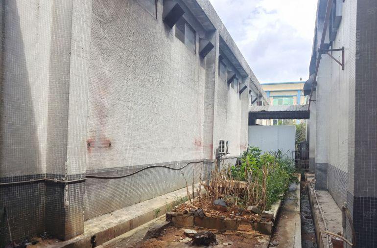 东坑镇1000平方8米高单一层低价厂房出租