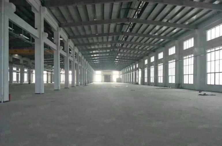 东坑 独院 单一层钢构 2800平方 带行车 高度10米