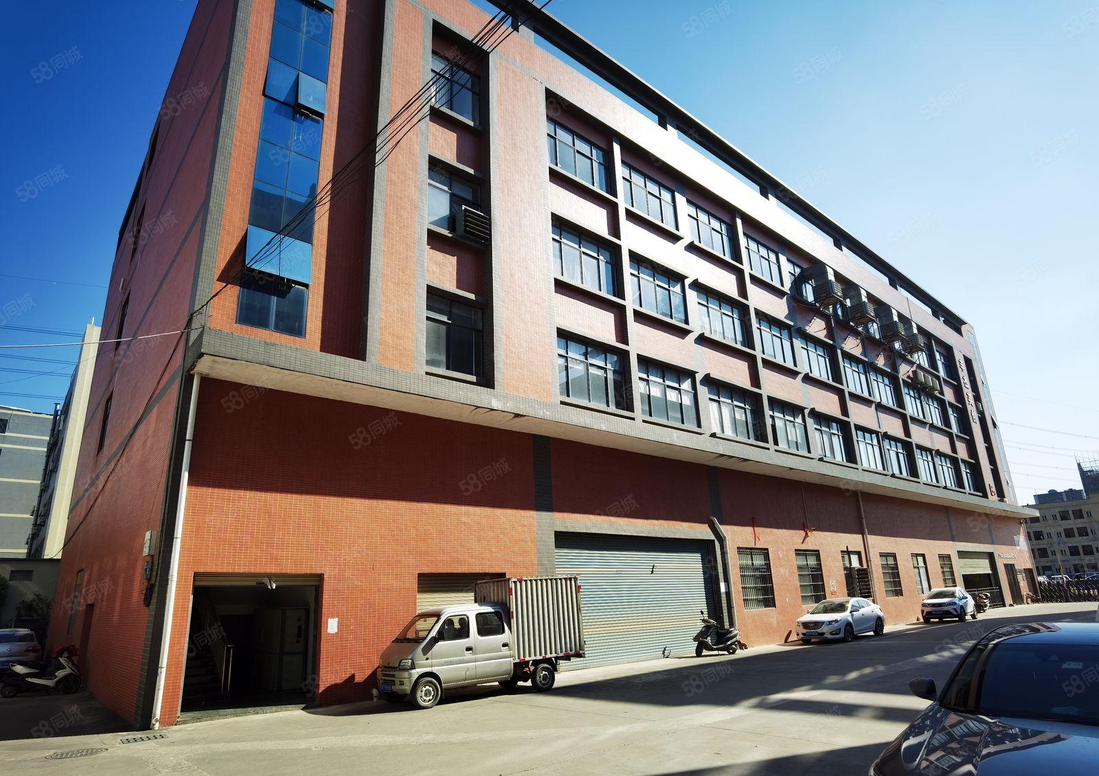 价格优惠！东坑镇独院标准厂房出租一楼800平方带装修交通方便