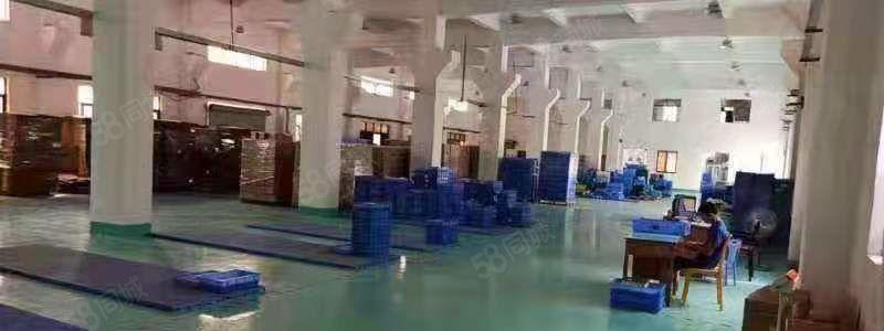 东坑镇角社村新出原房东标准一楼现成水电装修地坪漆6.5米高带