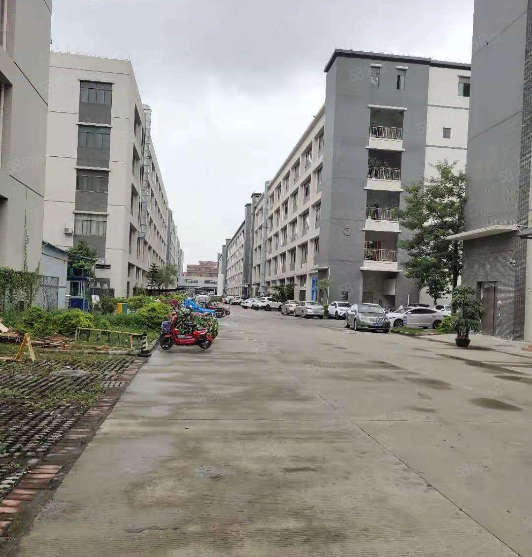 独门独院厂房1~2楼5250平方，空地大形象好可分租