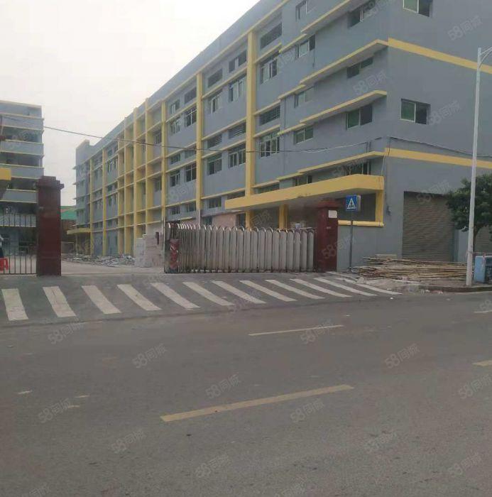 东坑 寮边头 独院厂房 分租整层2000平方.现成装修