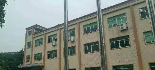 东坑 大地工业区 独院厂房 分租 一楼300平方，价格便宜