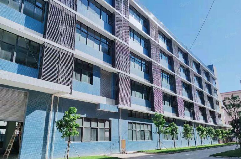 东坑全新厂房出租12块钱一平 单层面积1380平方