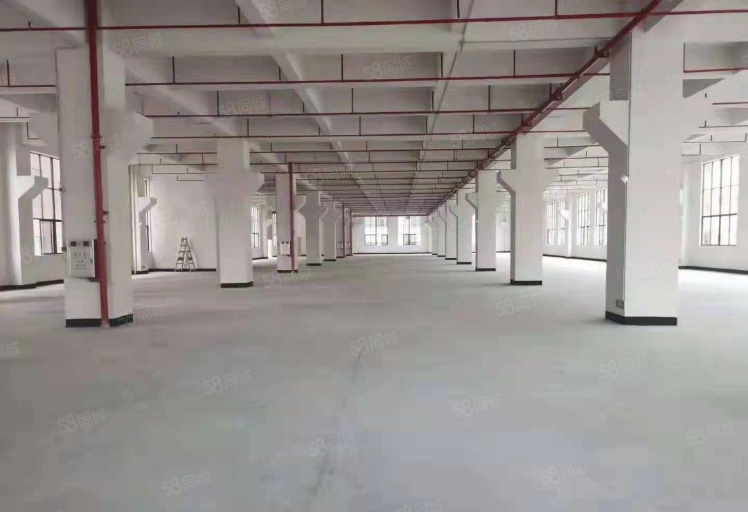 厂房出租，精致装修，地坪漆，办公室，年底特价厂房，2楼以上楼