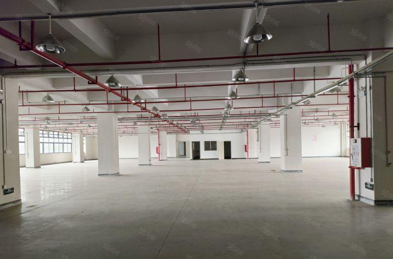 东坑镇工业区原房东标准厂房10块出租带2部5吨货梯低价出租