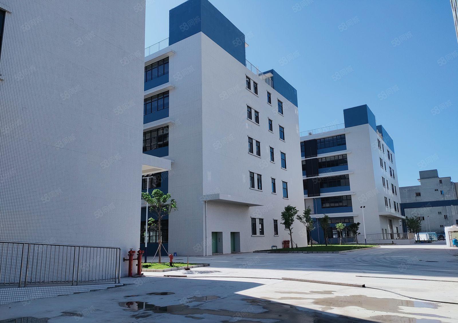 国有证工业厂房出租1万平方米！村委会厂房实际面积出租独门独院