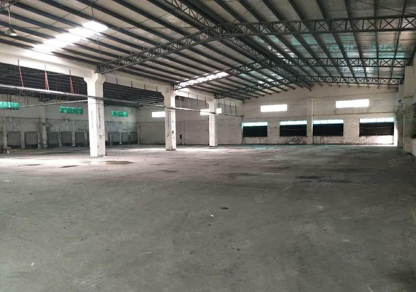 东坑 角社 600平 仓库出租,可分租，有院子空地大