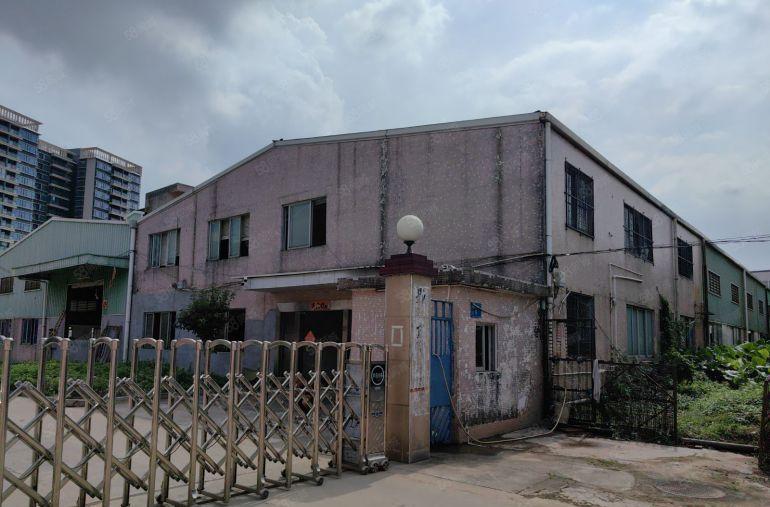 东坑镇原房东独院钢结构7米高单一层厂房出租现成办公室装修