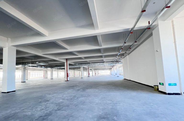 全新厂房 分租 超大的院子 可进出大货车 电梯