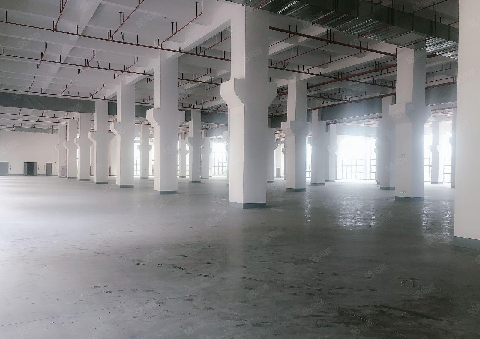 厂房出租     东坑镇新出原房东150000红本厂房出租！