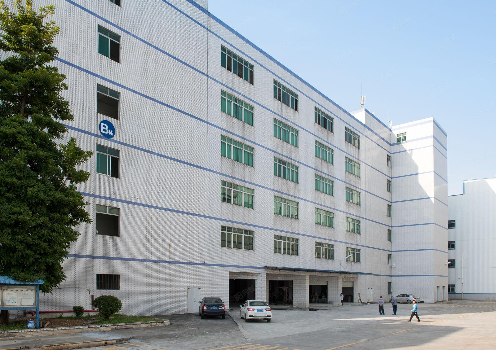 东坑新装修一楼厂房4288平 可分租 高6米消防合格环评可办