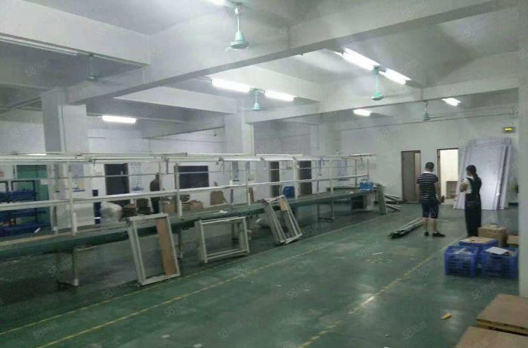 东坑 寮边头 独院厂房 分租整层2000平方.现成装修