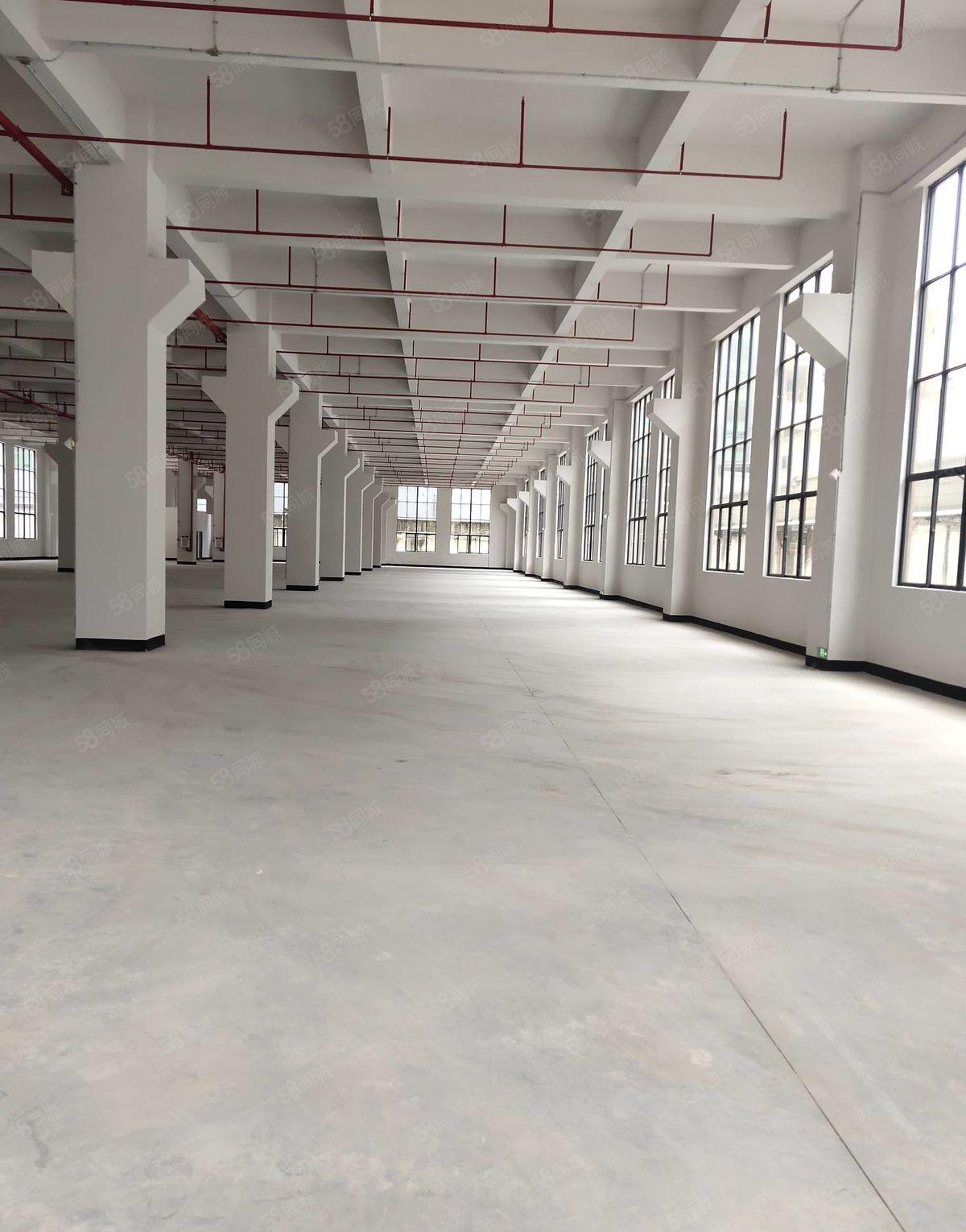 东坑镇工业园区 一楼厂房招租 面积3580平方 可整租可分租