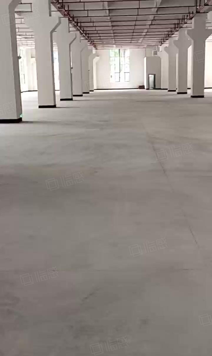 东坑镇工业园区 一楼厂房招租 面积3580平方 可整租可分租