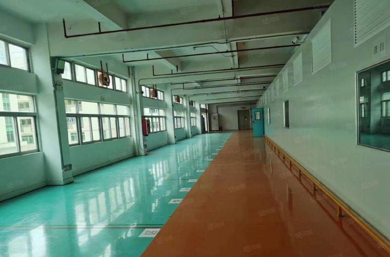 全新厂房出租（独院）