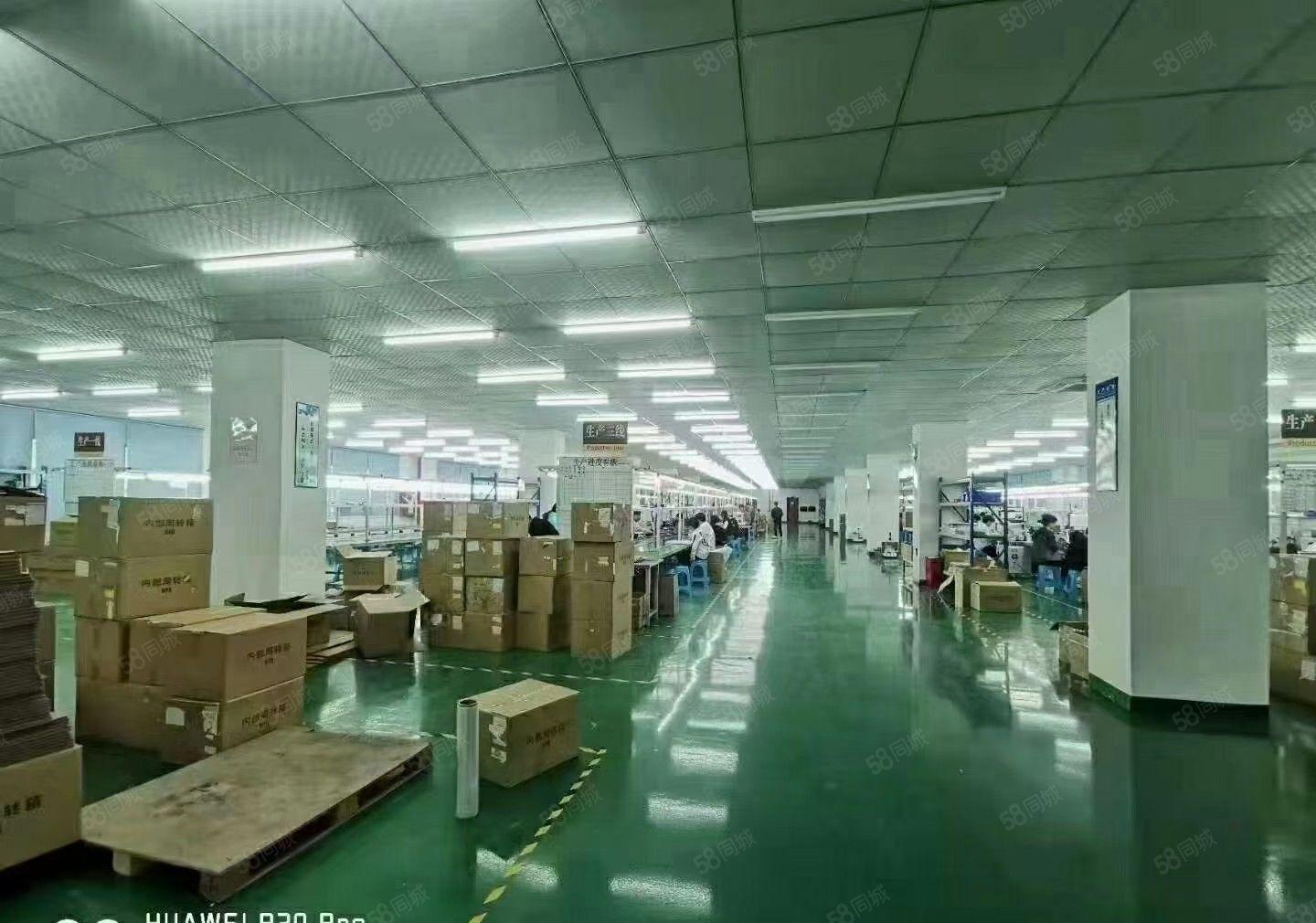 工业聚集地独院厂房招租，适合各行业客户