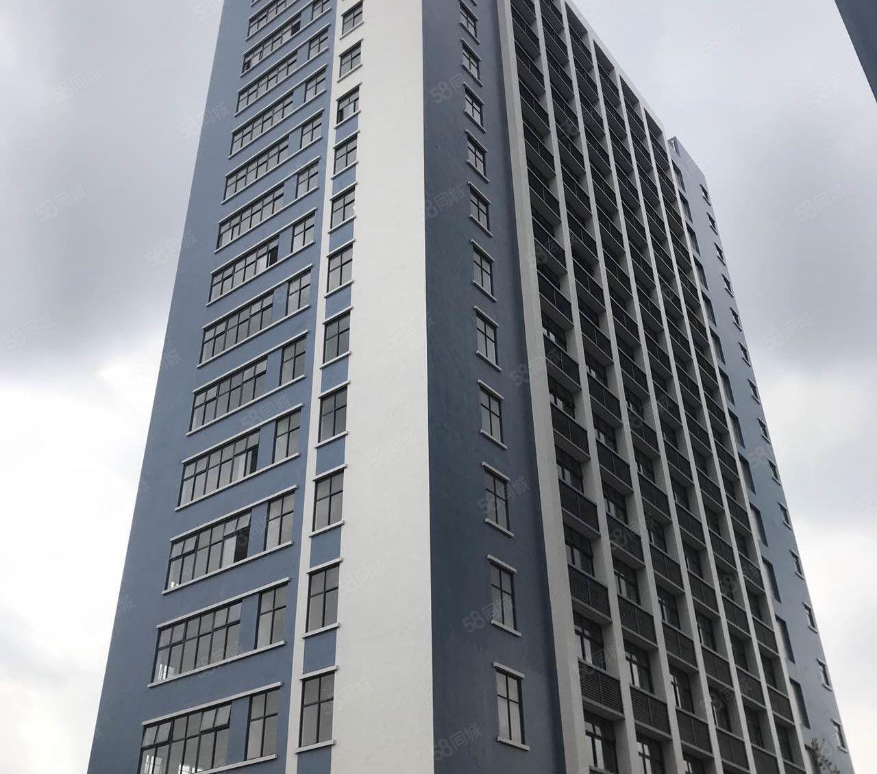 东莞东坑全新红本标准厂房53700平方，可按需灵活分租