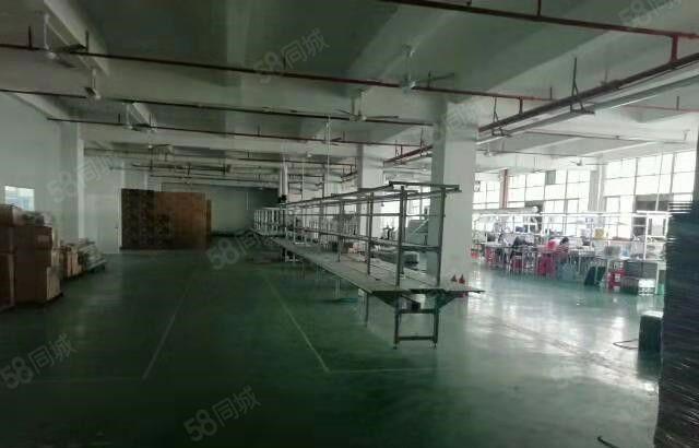 东坑 全新厂房 共3800平方 急租 带装修 水电线路齐全