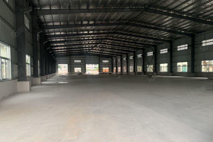 东坑一手房东独院钢构2000平方，实际面积出租，中间无柱子