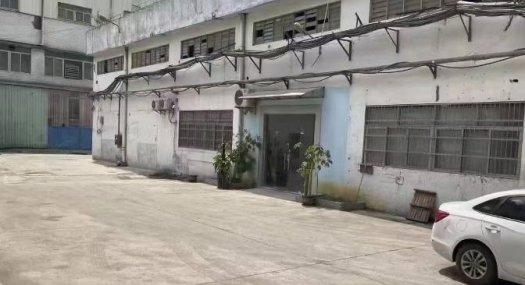 大岭山杨屋工业区 标准一楼厂房出租 800平 带装修