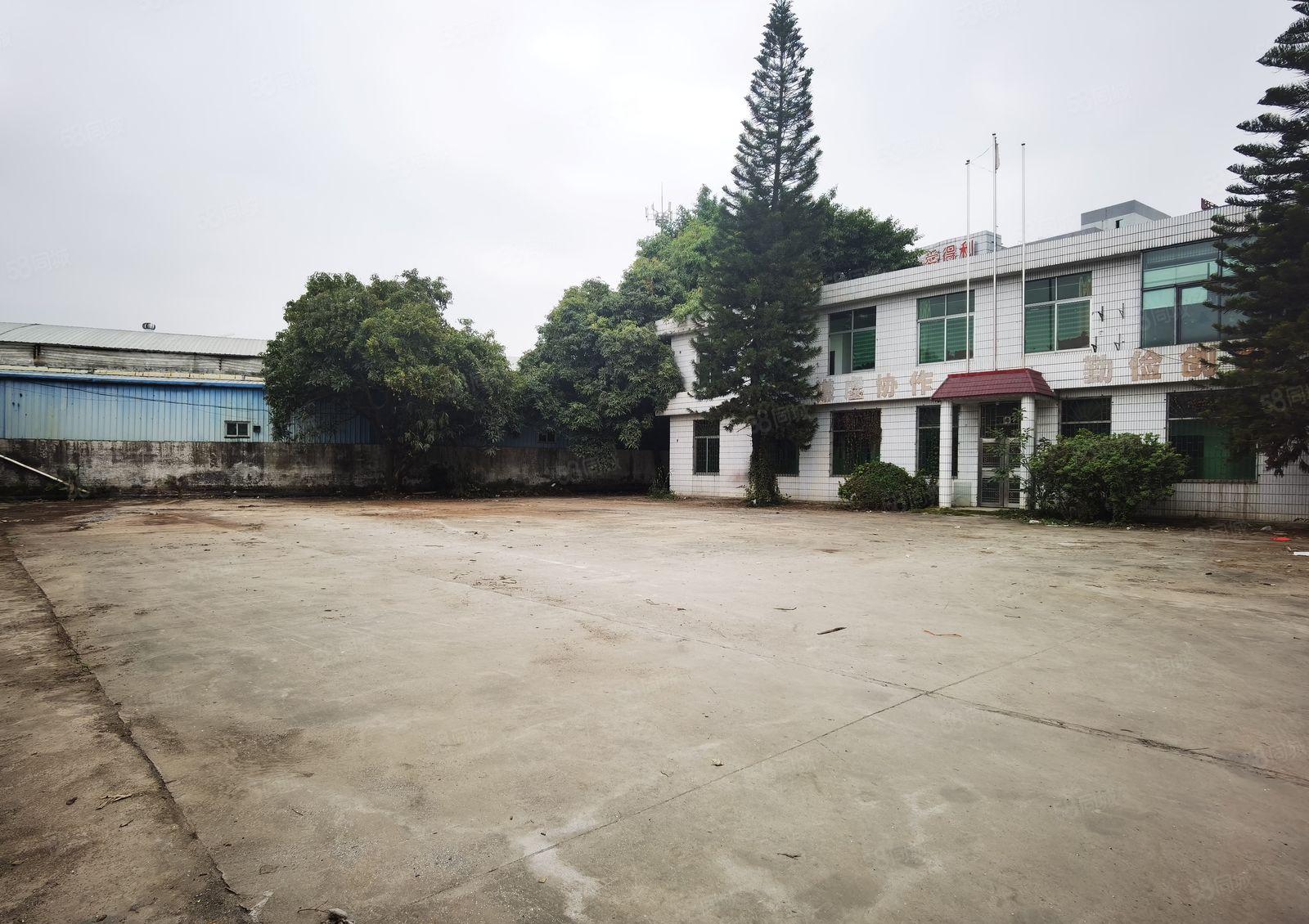 道滘镇低价独院单一层厂房出租3200平方空地大交通方便可分租