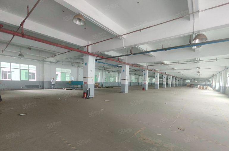 道滘新出花园式独门独院标准厂房26000平方面积大小可分租