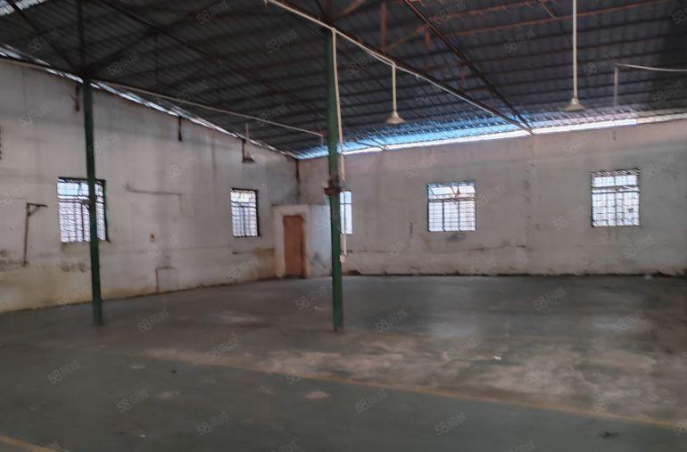 道滘单一层铁皮厂房，900平方可以分租450平方报价10元