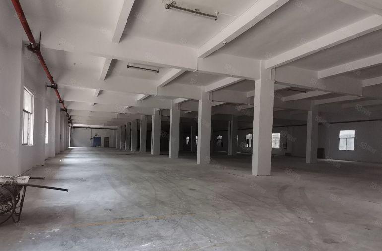 道滘临厚街万江南城蔡白工业区11000平标准独院厂房