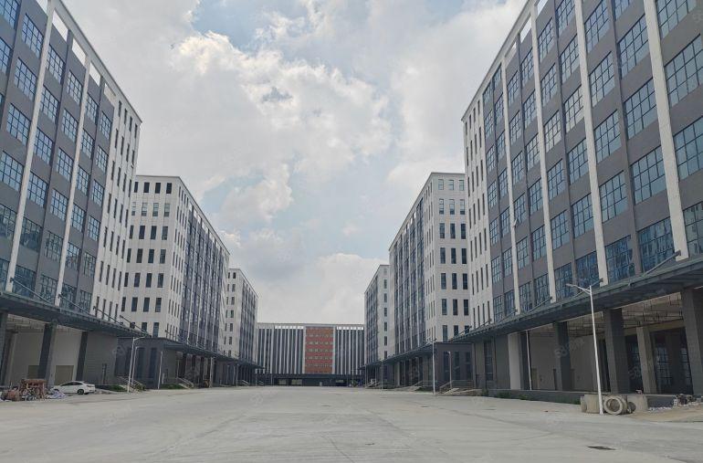 道滘红本全新现楼厂房原房东出租，空地大，交通好！