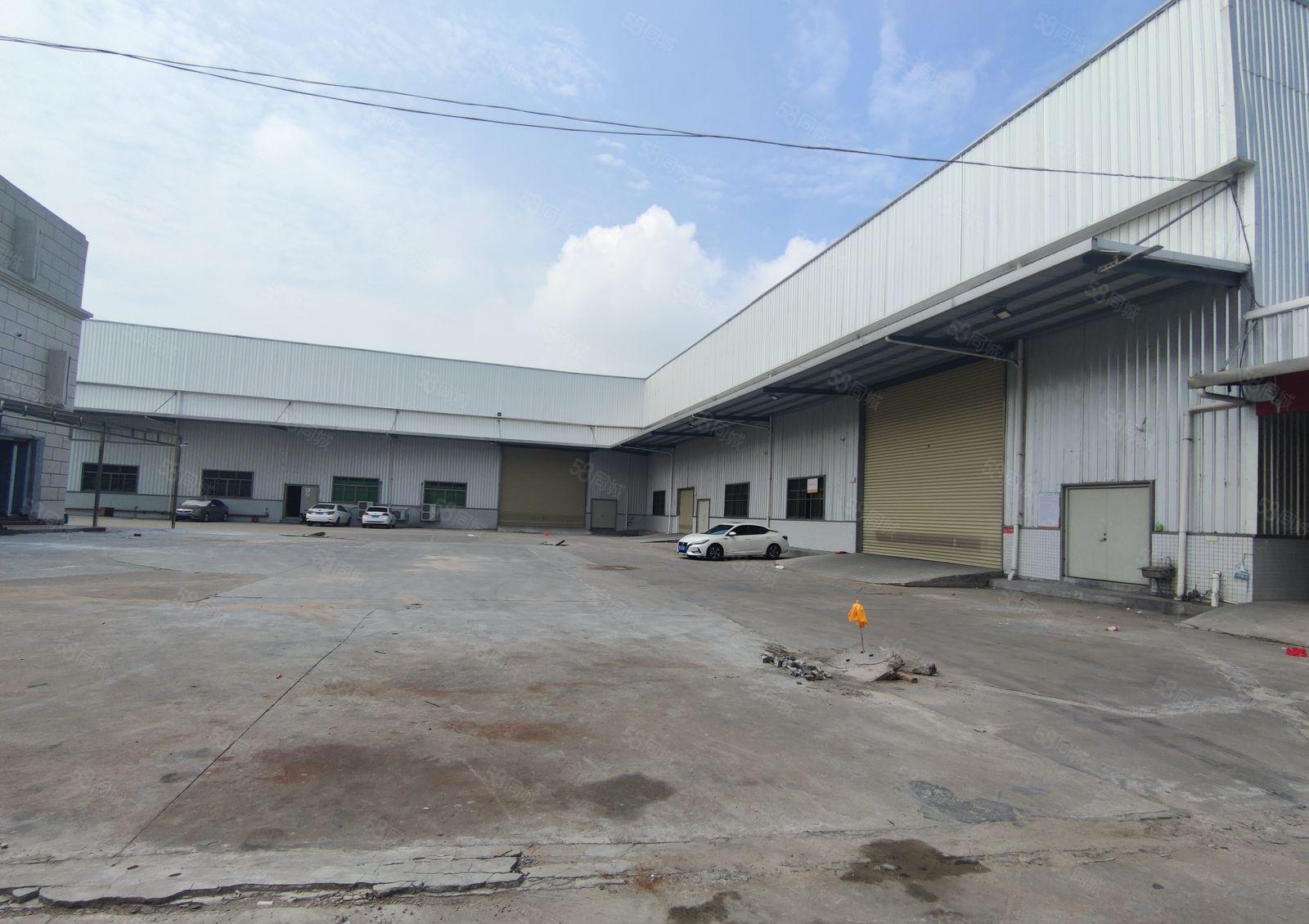 道滘靠近洪梅独门独院单一层钢结构厂房出租8000平方6间宿舍