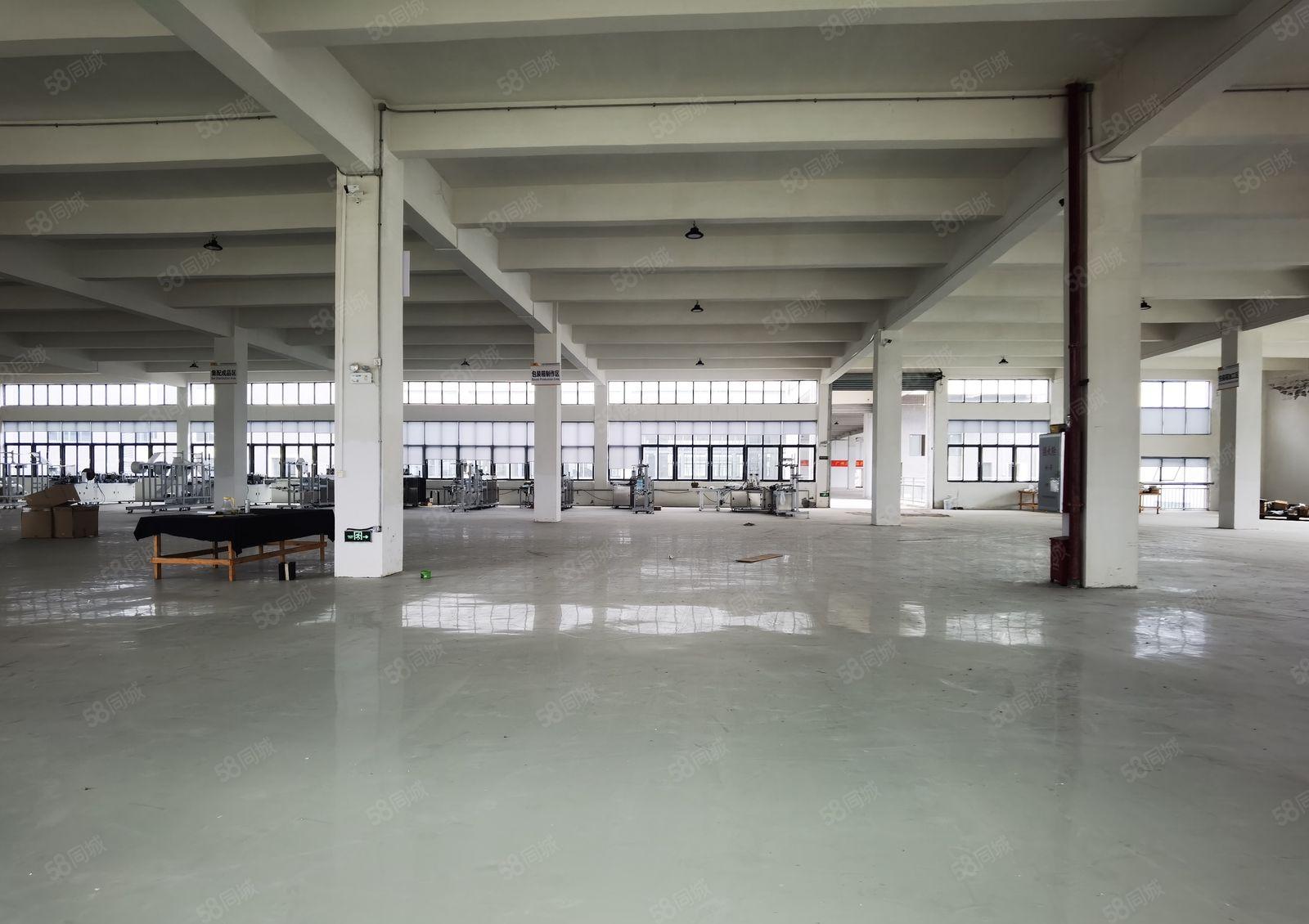 带牛角位！东莞道滘独院厂房出租9200平方低价可分租现成装修