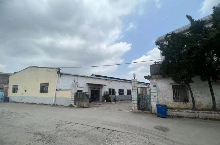 道滘新出4800独门独院厂房
