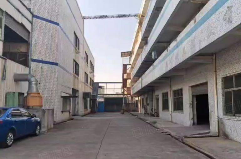 道滘蔡白独栋厂房，带2吨货梯火爆招租