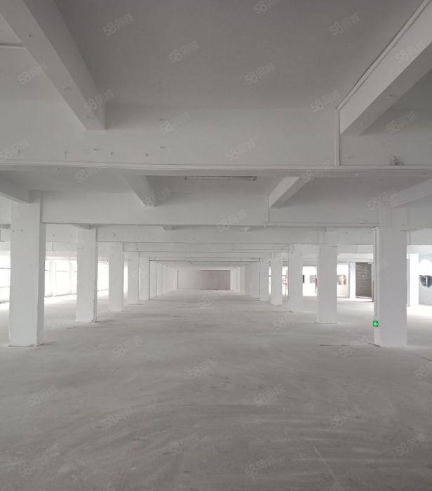 道滘蔡白港口大道边，独院厂房出租