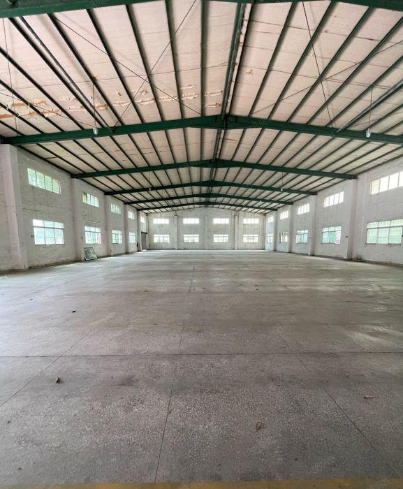 新资源道滘1000平单一层空地大