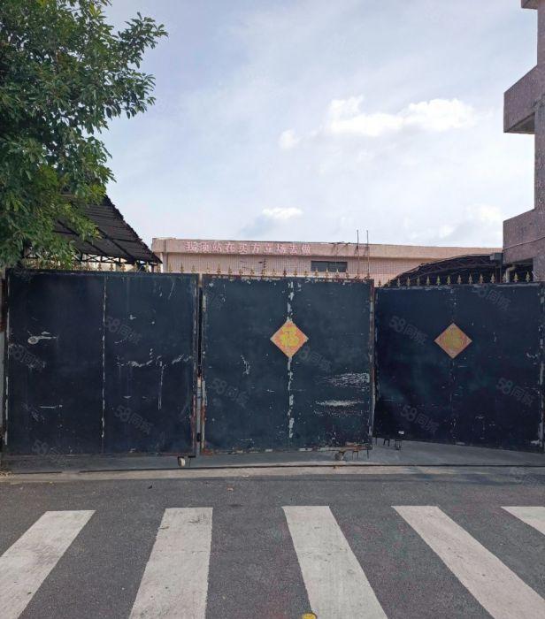 道滘镇原房东单一层独院厂房3300方大小可分水电全可办环评