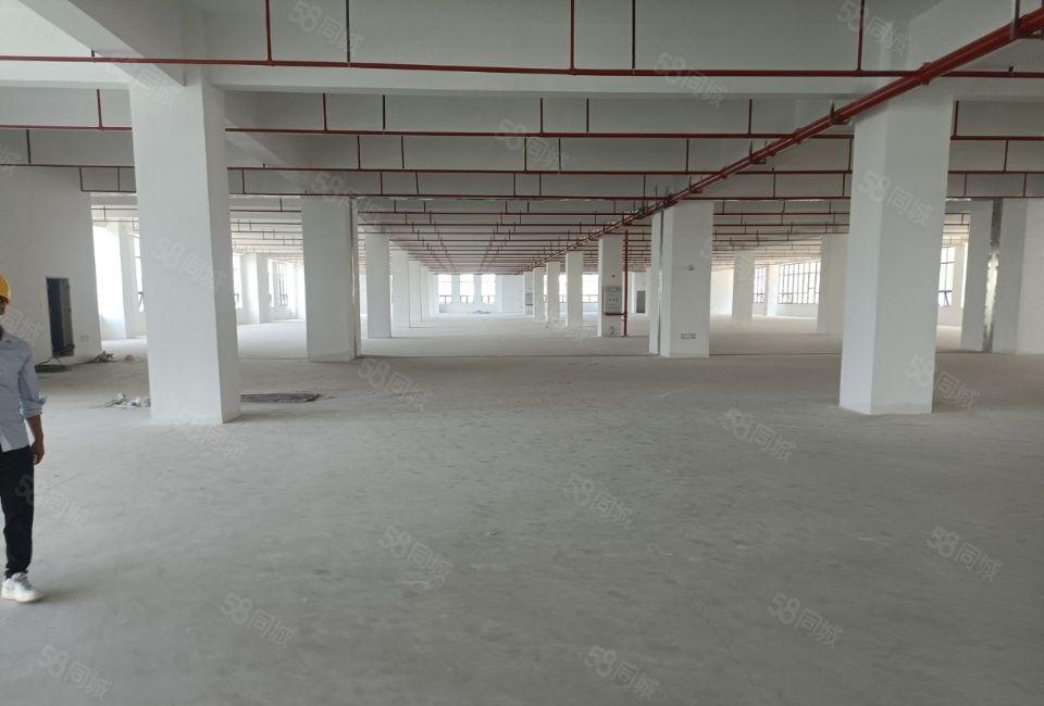 东莞道滘镇全新标准厂房出租，形象高端大气，格局好，可以分租